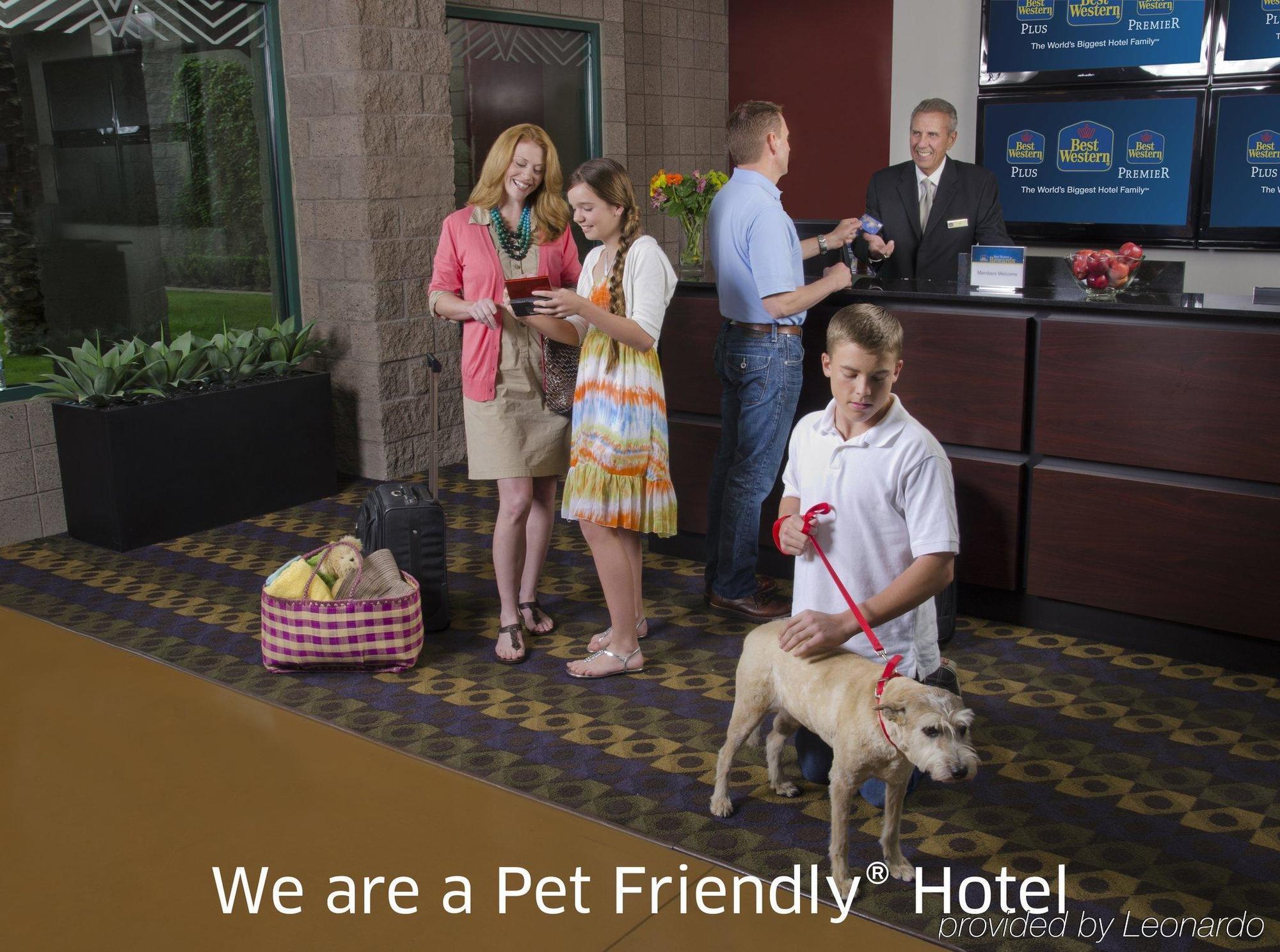Best Western Rockland Exterior foto